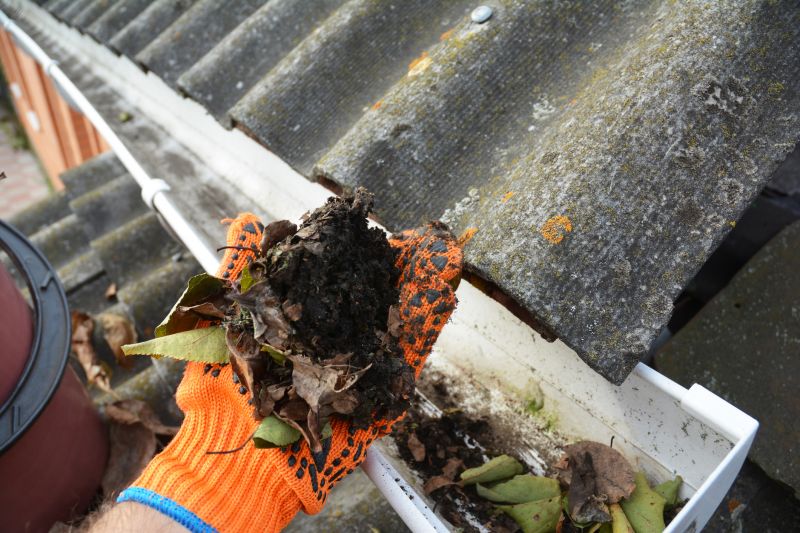 Clogged Gutter Clearing in Richmond, VA