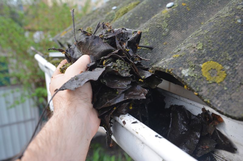 Downspout Cleaning in Rochester, NY