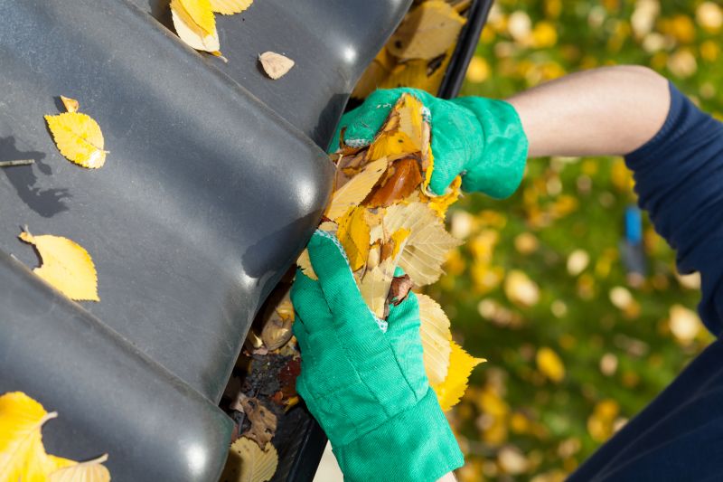 Gutter Leaves Removal in Arvada, CO