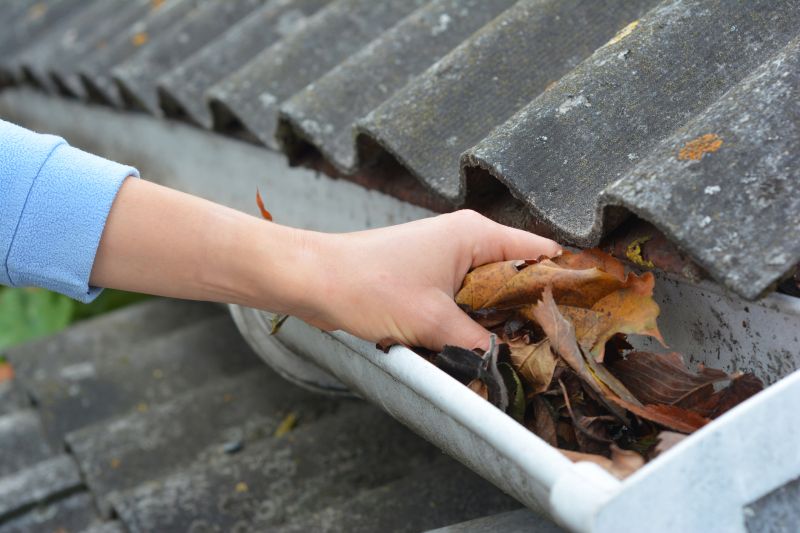 Gutter Leaves Removal in Pittsburgh, PA