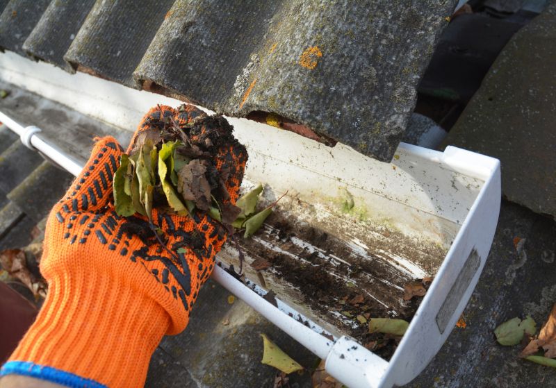 Rain Gutter Clearing in Pittsburgh, PA