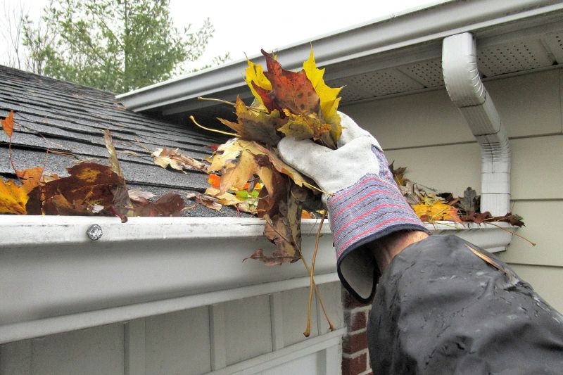 Roof Gutter Cleaning in Richmond, VA